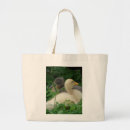 Recherche de deux oiseaux sacs Canards