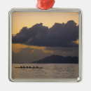 Recherche de polynésie ornements Tropicale