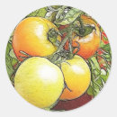 Recherche de tomate fraîche autocollants Frais