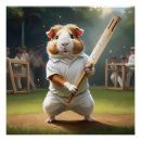 Recherche de match posters Cricket