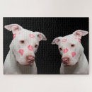 Recherche de pitbull puzzles Com