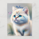 Recherche de chaton blanc cartes postales Amoureux des animaux