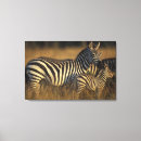 Recherche de equus impressions sur toile Faune