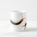 Recherche de phobie tasses Insectes