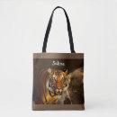 Recherche de image de tigre Nature