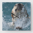 Recherche de labrador retriever horloges Drôle