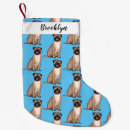 Recherche de carlin chaussette de noël Dog