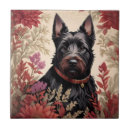 Recherche de scottie carreaux Portrait
