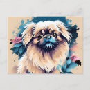 Recherche de pékinois cartes postales Animal de compagnie