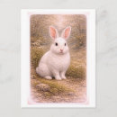 Recherche de lapin blanc vintage cartes postales Antique