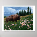 Recherche de bison posters Parc national de yellowstone