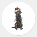 Recherche de christmas lights labels Xmas