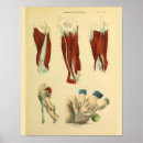 Recherche de birth art Vintage