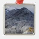 Recherche de bavière ornements Château