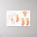 Recherche de sacrum Coccyx