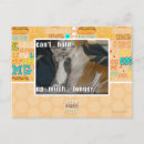 Recherche de longtemps cartes postales Je peux avoir cheezburger
