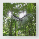 Recherche de dominicaine art Nature