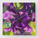 Recherche de iris horloges Fleur