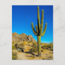 Recherche de cactus cartes postales Amérique du nord
