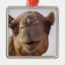 Recherche de chameau ornements Faune