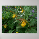 Recherche de pantoufle art Nature