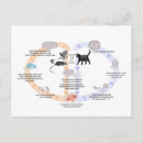 Recherche de cycle de vie cartes postales Pour tous