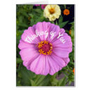 Recherche de zinnia rose Floral
