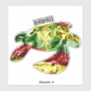 Recherche de honu Maui