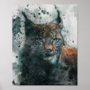 Recherche de lynx posters Animal