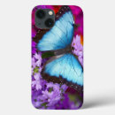 Recherche de tropical papillon coques Plante