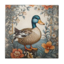 Recherche de canards carreaux Animal