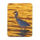 Recherche de la floride magnets Coucher de soleil