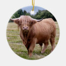 Recherche de vache ornements Montagne
