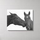 Recherche de cheval noir toiles Équestre