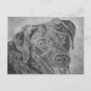 Recherche de labrador retriever noir cartes postales Chien