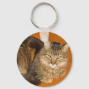 Recherche de maine coon porteclés Forêt