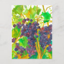 Recherche de peinture de vignoble cartes postales Fruit