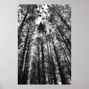 Recherche de esprit photographie Noir et blanc