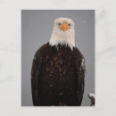 Recherche de hals cartes postales Portrait