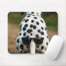 Recherche de taches noires tapis souris Chien