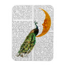 Recherche de paon magnets Steampunk