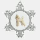 Recherche de caniche standard ornements Chiot