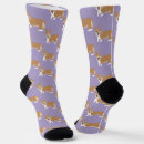 Recherche de corgi chaussettes Chiot