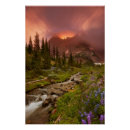 Recherche de prés posters Nature