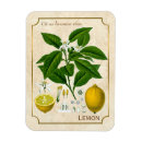 Recherche de fine art magnets Cuisine