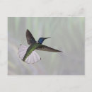 Recherche de jacobin cartes postales Nature