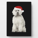 Recherche de chiot plaques Loup