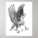 Recherche de dessin crayon graphite posters Griffon