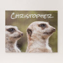 Recherche de meerkat puzzles Animal