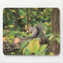 Recherche de consommateur tapis souris Automne